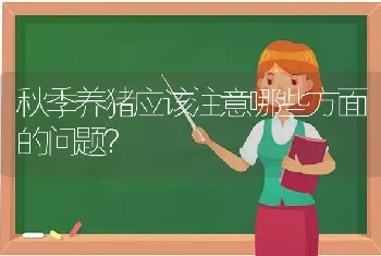 秋季养猪应该注意哪些方面的问题?