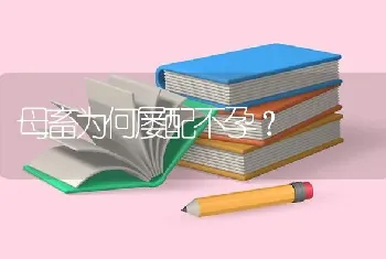 母畜为何屡配不孕?