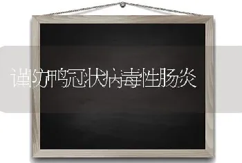 谨防鸭冠状病毒性肠炎