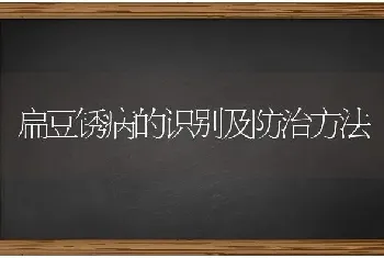 山羊小反刍病的防治