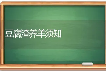 豆腐渣养羊须知