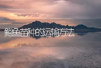 鲍鱼苗种的运输方法