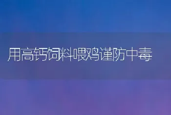 用高钙饲料喂鸡谨防中毒