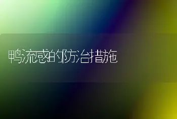 鸭流感的防治措施