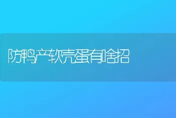 畜禽应多喂点野生饲料