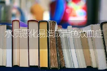 水质恶化易造成青鱼败血症