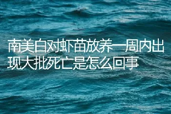 南美白对虾苗放养一周内出现大批死亡是怎么回事