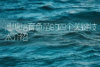 池塘培育鱼苗的四个关键技术介绍