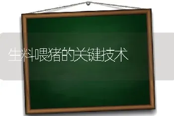 生料喂猪的关键技术