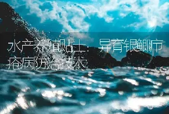 水产养殖贴士：异育银鲫疖疮病防治技术