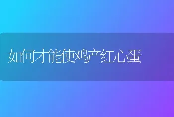 如何才能使鸡产红心蛋