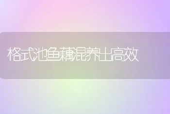 格式池鱼藕混养出高效