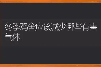 冬季鸡舍应该减少哪些有害气体