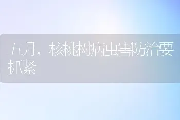 如何预防雏鸡早期死亡