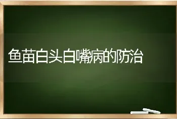 鱼苗白头白嘴病的防治