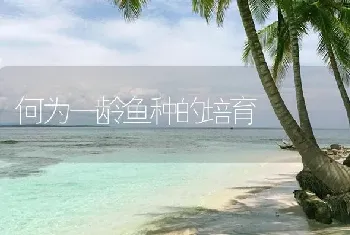 何为一龄鱼种的培育