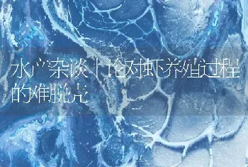 水产杂谈丨论对虾养殖过程的难脱壳