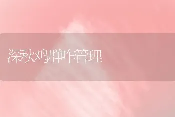 深秋鸡群咋管理