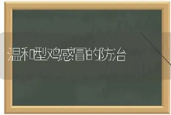 温和型鸡感冒的防治