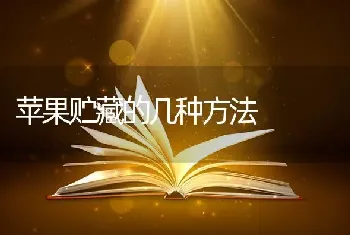 仔兔黄尿病怎么治疗呢