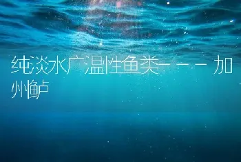 纯淡水广温性鱼类---加州鲈