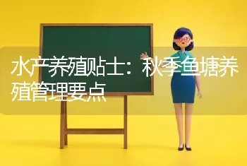 水产养殖贴士：秋季鱼塘养殖管理要点