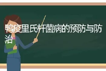 鸭疫里氏杆菌病的预防与防治