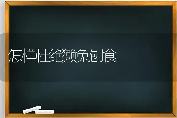 怎样杜绝獭兔刨食