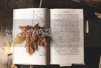 如何治疗鸡虱