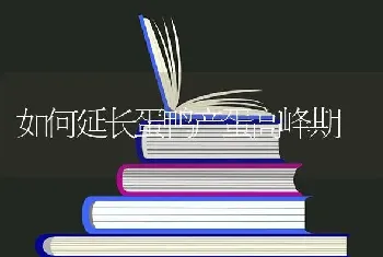 如何延长蛋鸭产蛋高峰期