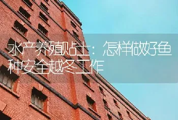 水产养殖贴士：怎样做好鱼种安全越冬工作