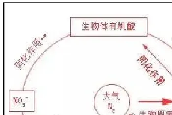 水产养殖水体常见理化指标的作用