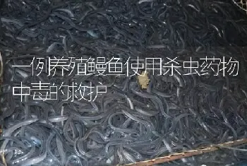 一例养殖鳗鱼使用杀虫药物中毒的救护