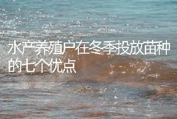 水产养殖户在冬季投放苗种的七个优点