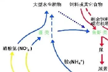 气温突变对水产养殖的影响和防控措施