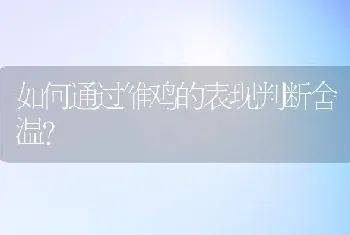 如何通过雏鸡的表现判断舍温?