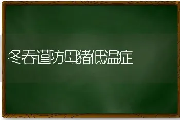 冬春谨防母猪低温症