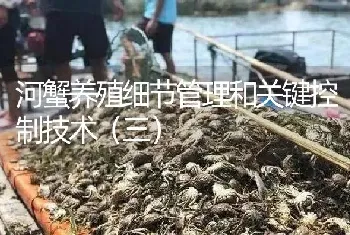 河蟹养殖细节管理和关键控制技术(三)