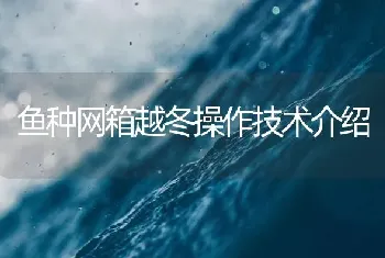 鱼种网箱越冬操作技术介绍