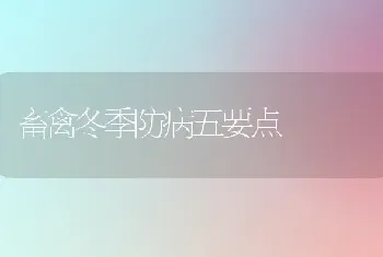 畜禽冬季防病五要点