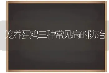 笼养蛋鸡三种常见病的防治