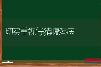 切实重视仔猪腹泻病