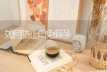 如何防止母兔假孕