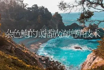 杂色鲍的底播放流增殖技术