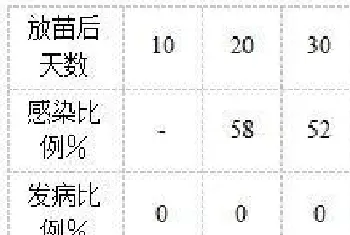 南美白对虾病毒性白斑病综合防控的几点经验