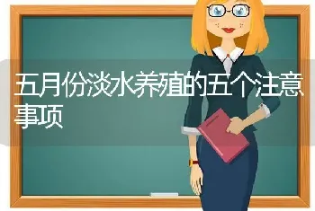 五月份淡水养殖的五个注意事项