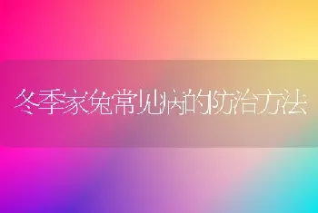 冬季家兔常见病的防治方法