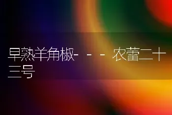 早熟羊角椒---农蕾二十三号