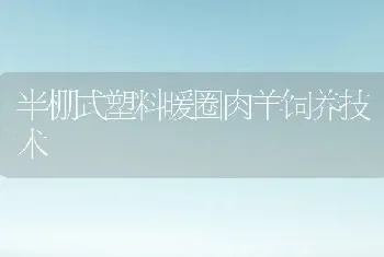 半棚式塑料暖圈肉羊饲养技术