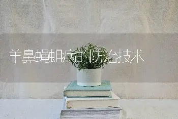 羊鼻蝇蛆病的防治技术